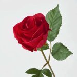 گل مصنوعی رز ایکیا مدل SMYCKA